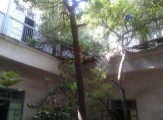 riad a rénover