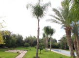 Villa Marrakech.